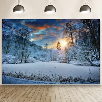 Laeacco Зимние природные пейзажи Белый лес Солнечный свет Снег Фон для декора комнаты Фотографический фон для фотостудии